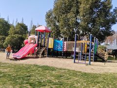 -金山农民画村-枫泾波兰倒置屋