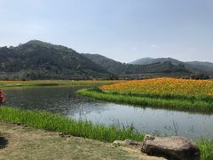 -径山花海