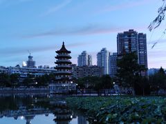 -宝岛公园
