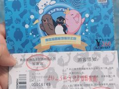 -海合安青岛极地海洋公园