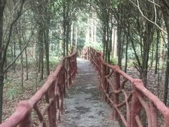 -红峡谷