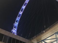 -新加坡摩天观景轮