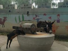 -御林古桑园