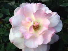 -人民公园(罗湖区)