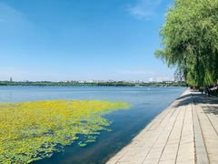 -长春市南湖公园