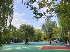 -吉林大学(前卫南校区)