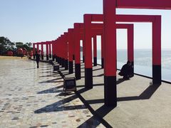 -漳州滨海火山岛自然生态风景区