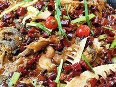 -老板恋上鱼(恒隆广场店)