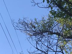 景点-黑河国家森林公园