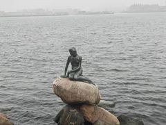 -美人鱼