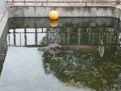 -青藏高原野生动物园