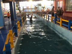 -兴芮温泉度假区