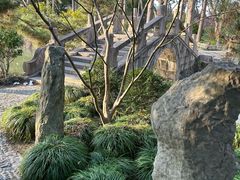 -上海醉白池公园