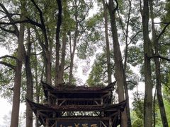 -青城山