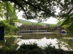 -绿茶餐厅(龙井船宴· 品牌总店)