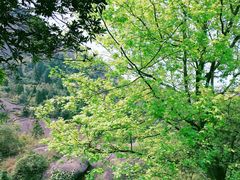 -大罗山风景区