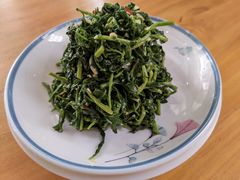 枸杞苗-三益轩(总店)