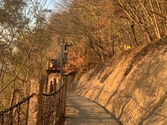 -采石矶景区