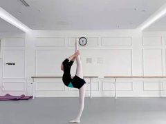 -舞蕾舞蹈·专注中国舞18年(天通苑中心校区)
