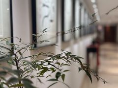 -普陀山雷迪森庄园