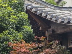 -荐悫堂(锦江新天地店)