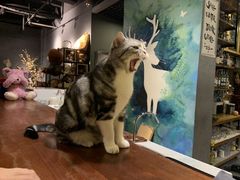 -咖法森林·咖啡  酒吧(天河店)