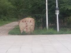 -五营红松林海景区