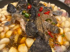 -舌尖上·霞浦滩涂海鲜·新闽菜(总店)