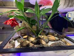 -鸿腾国际大酒店-海鲜姿造海鲜烤肉自助餐