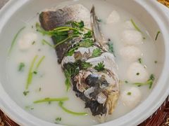 -紫藤园·天目湖大鱼头(南山竹海店)