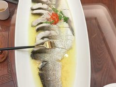 -鲁宴·鲁煨黄河生态大鲤鱼(月坛店)