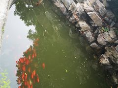 -石老人观光园