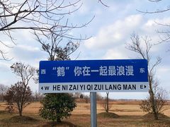 -盐城丹顶鹤湿地生态旅游区