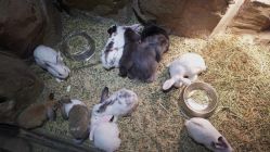 -酷嗒动物文化乐园(cutezoo西溪乐天城店)