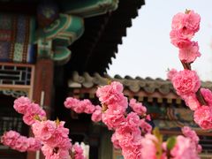 -颐和园