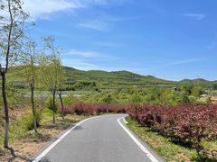 -大连铭湖国际观光牧场