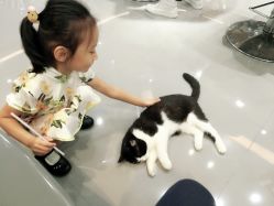 -和良形象