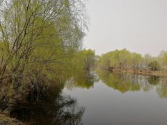 -长白岛森林公园