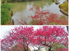 -奉浦四季生态园