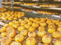 -凤凰山斑鱼馆(恭城店)