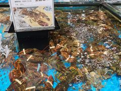 -盒马鲜生(皇庭广场店)
