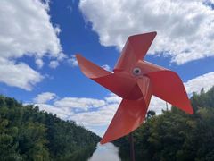 -黄海国家森林公园