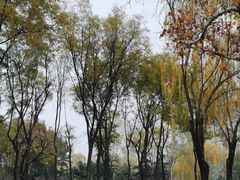-南长河公园