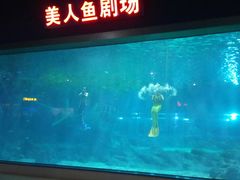 -福州罗源湾海洋世界旅游区