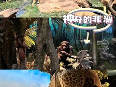 -国家自然博物馆