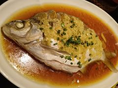 -在莲野·湖北民间菜·头牌松滋鸡(光谷步行街店)