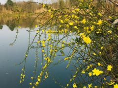 -桤木河湿地公园