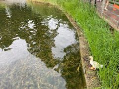 -郑州植物园