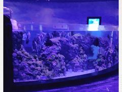 -成都浩海立方海洋公园