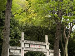 -雀儿山公园
